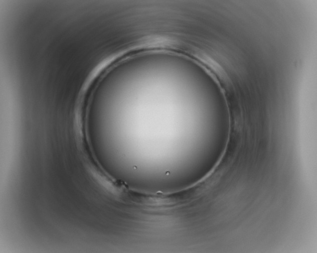X0000113541120200909250920