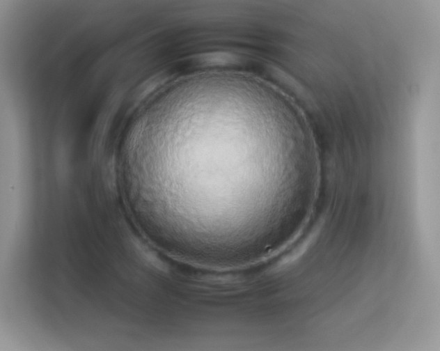 X0000113541121200909250920