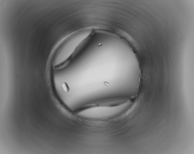 X0000113541122200909250920