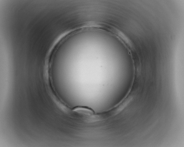 X0000113541124200909250920