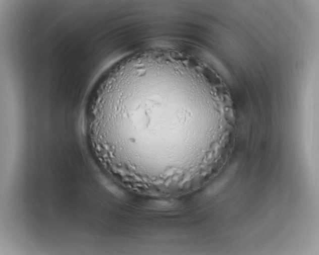 X0000113541125200909250920