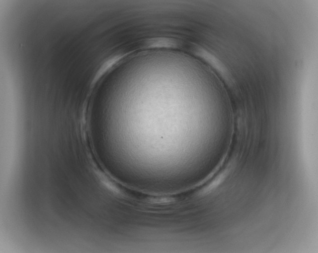 X0000113541129200909250921
