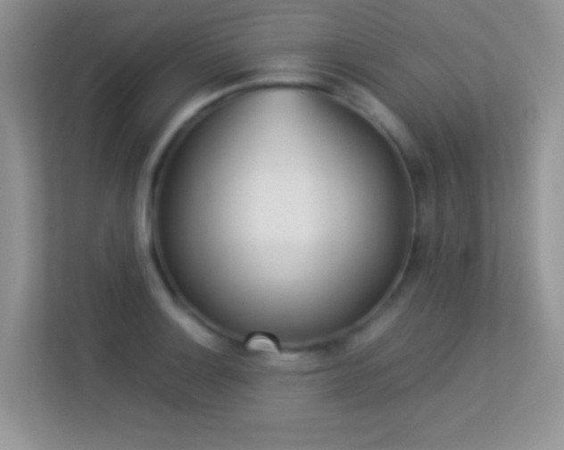 X0000113541132200909250921