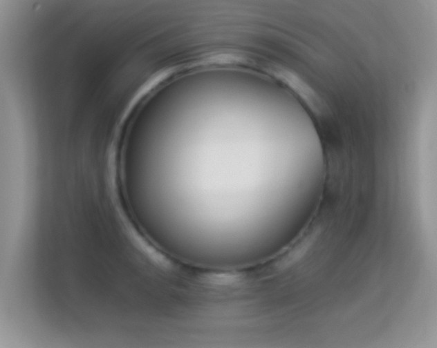 X0000113541134200909250921
