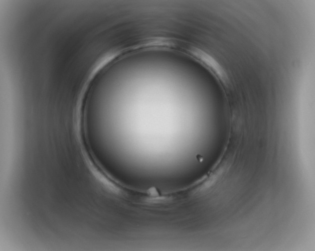 X0000113541135200909250921