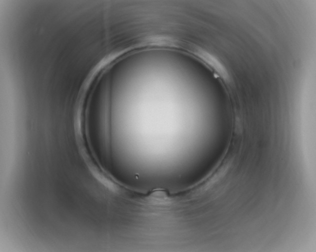 X0000113541136200909250921
