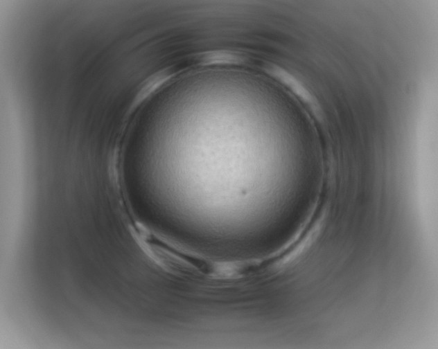 X0000113541137200909250921