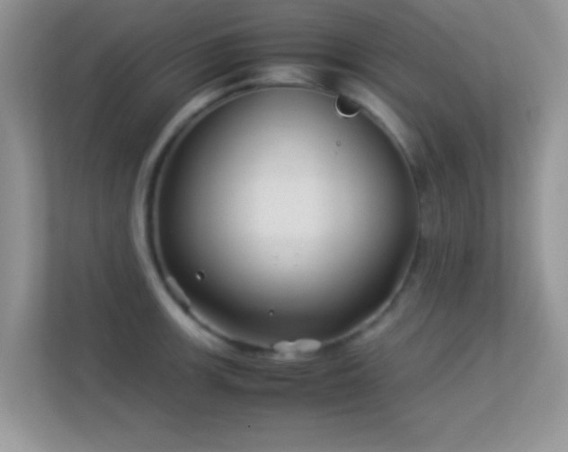 X0000113541139200909250921