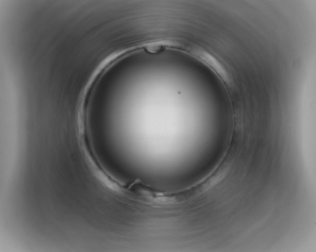 X0000113541140200909250921