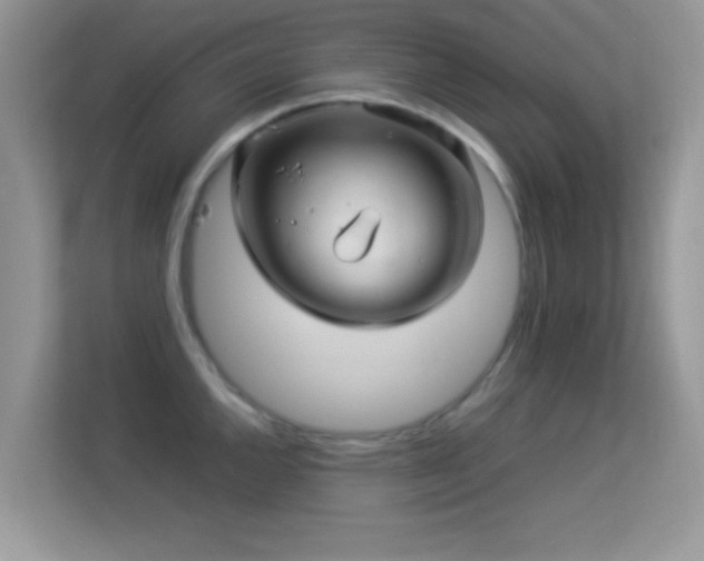 X0000113541144200909250921