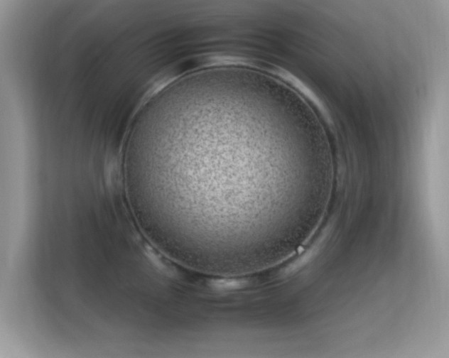X0000113541145200909250921