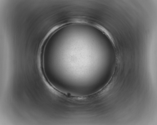 X0000113541147200909250921
