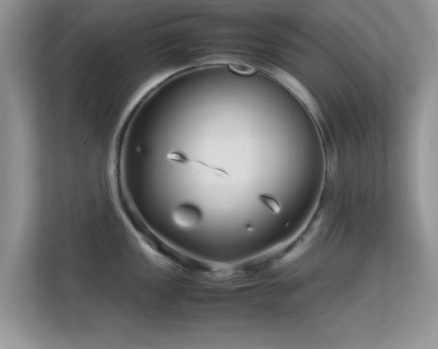 X0000113541149200909250921