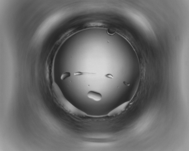 X0000113541151200909250921
