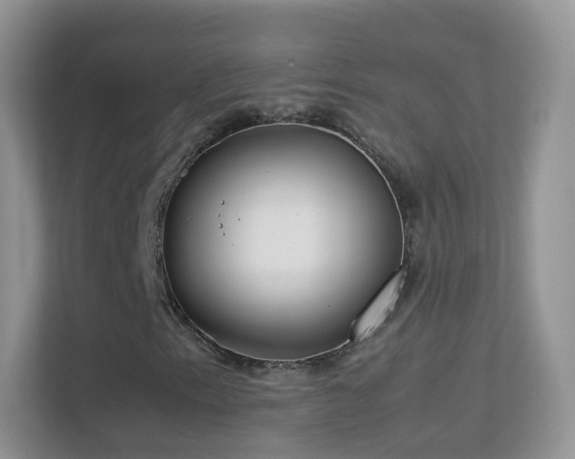 X0000113541153200909250920