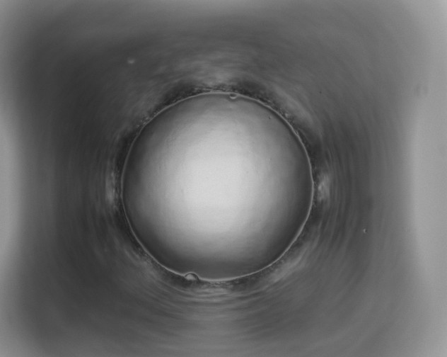 X0000113541156200909250920