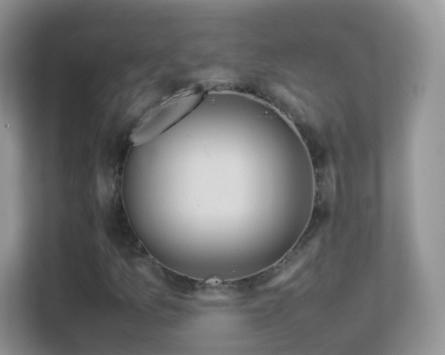 X0000113541157200909250920