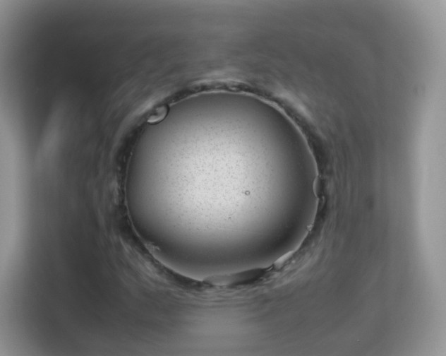 X0000113541159200909250920