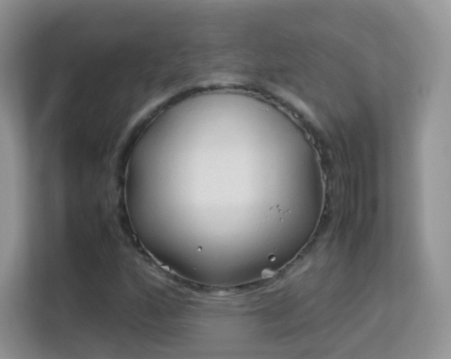 X0000113541160200909250920