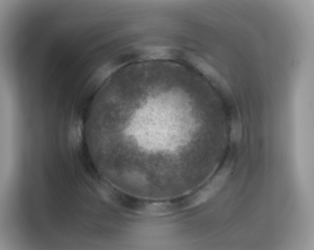 X0000113541161200909250920