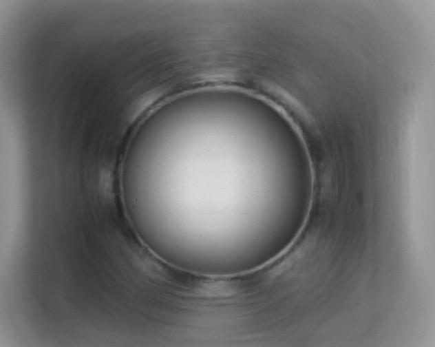 X0000113541162200909250920