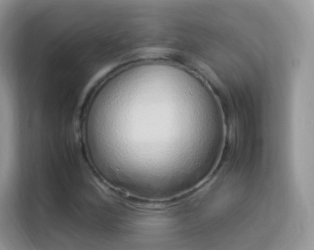 X0000113541164200909250920