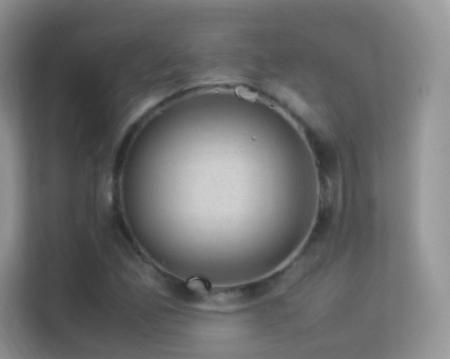 X0000113541165200909250920