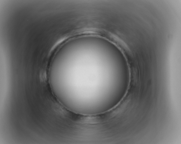 X0000113541166200909250920