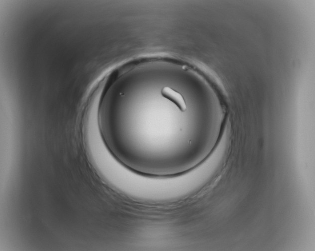 X0000113541167200909250920