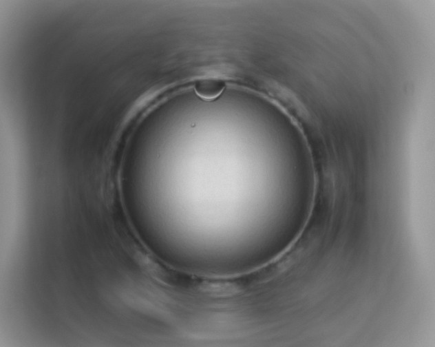 X0000113541168200909250920