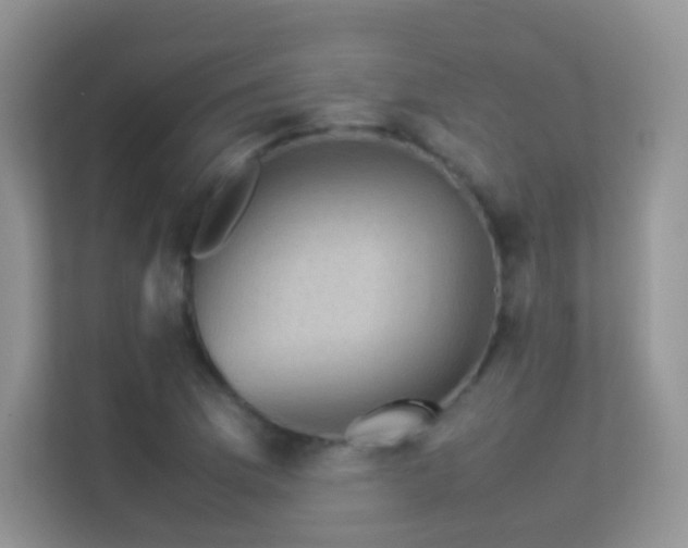 X0000113541169200909250920