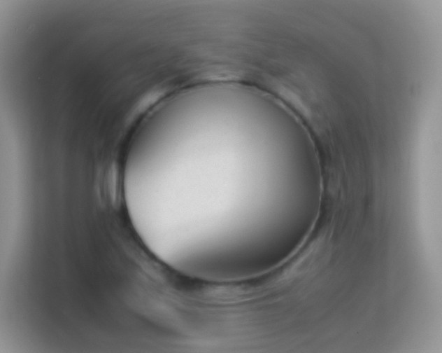 X0000113541171200909250920