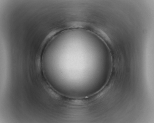 X0000113541172200909250920