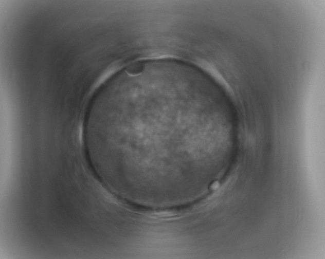 X0000113541173200909250920