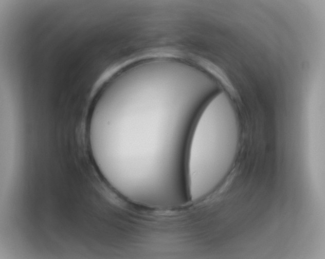 X0000113541176200909250920
