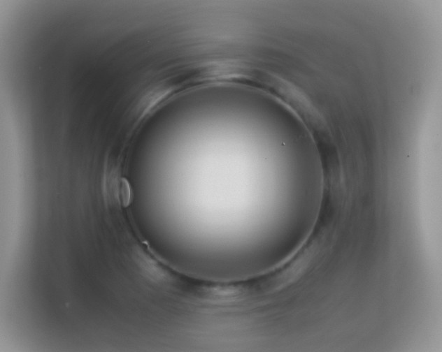 X0000113541177200909250920