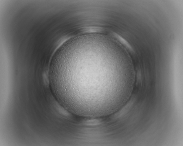 X0000113541178200909250920