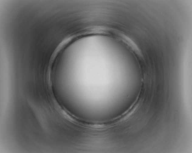 X0000113541180200909250920