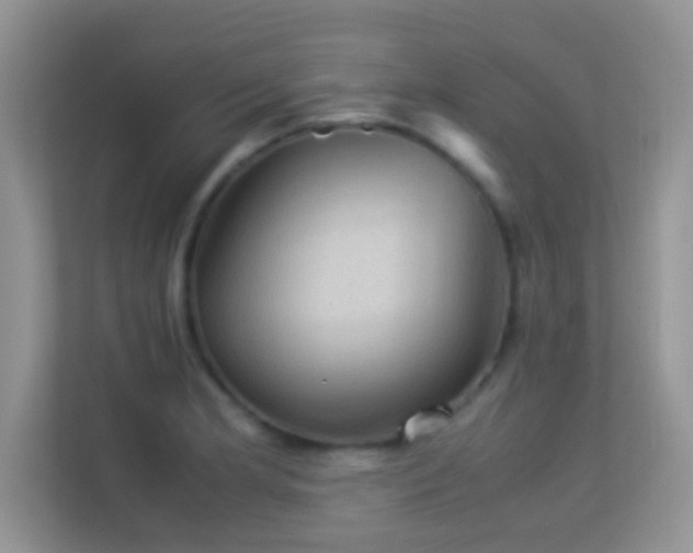 X0000113541181200909250920