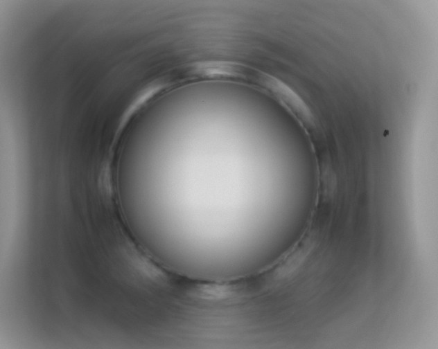 X0000113541182200909250920