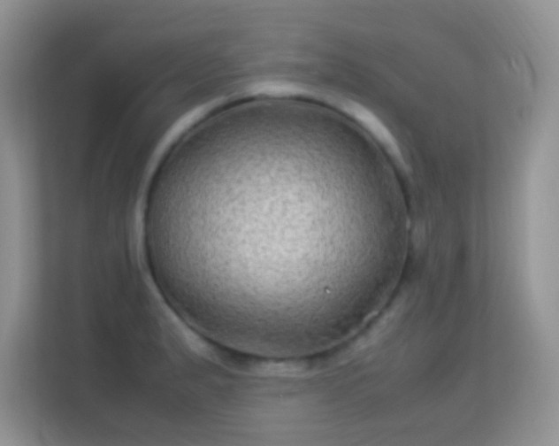 X0000113541183200909250920