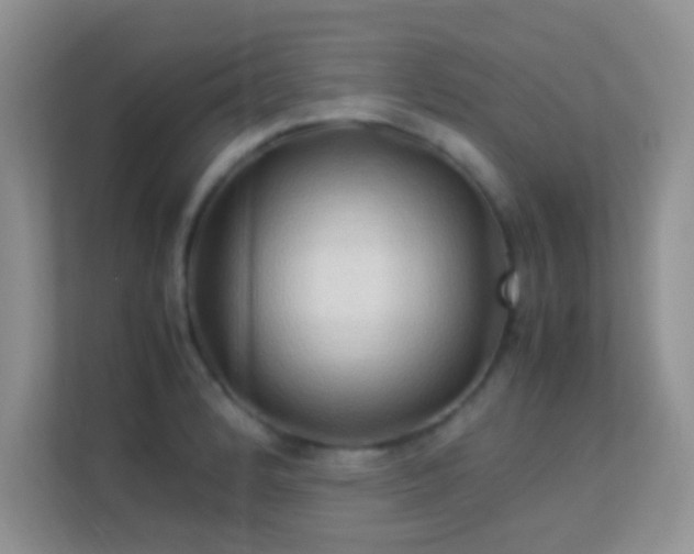 X0000113541184200909250920