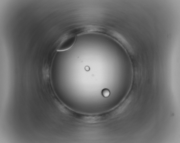 X0000113541185200909250920