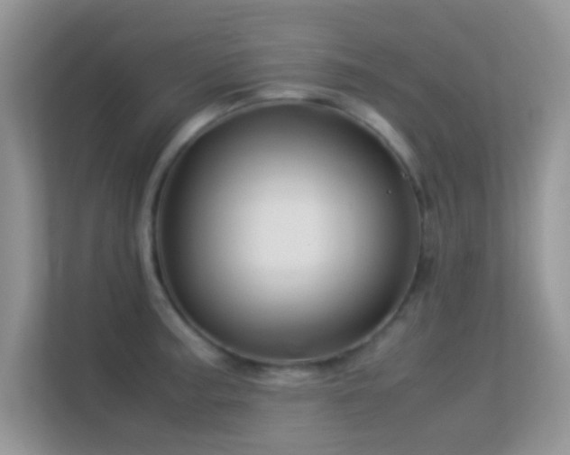 X0000113541187200909250920