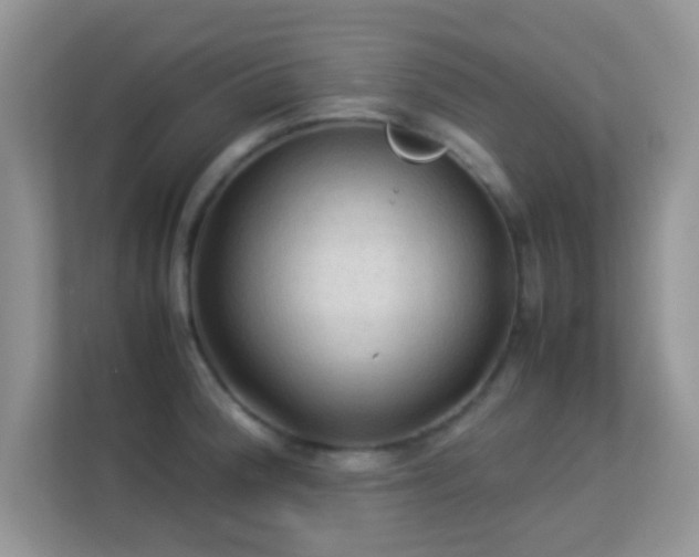 X0000113541188200909250920