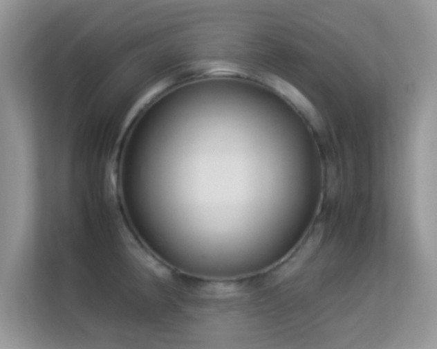 X0000113541190200909250920