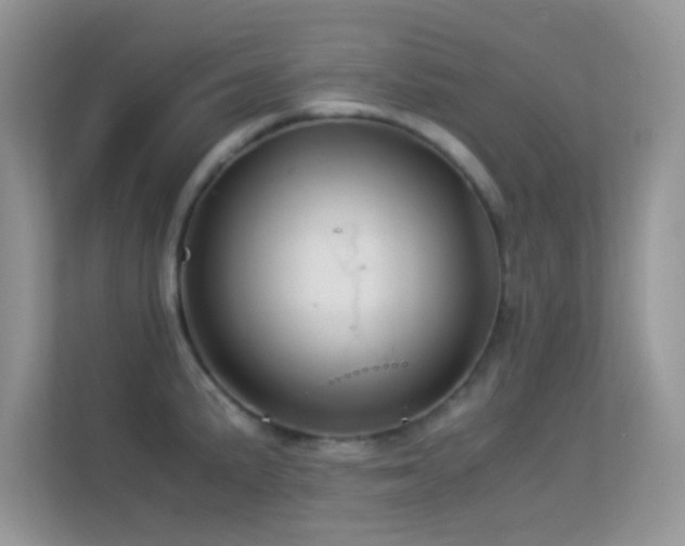 X0000113541191200909250920