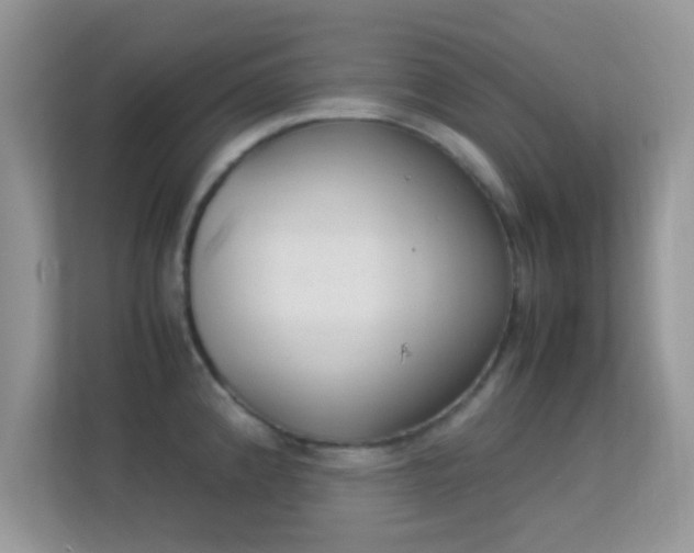 X0000113541192200909250920