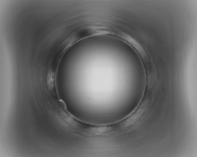X0000113541193200909250920
