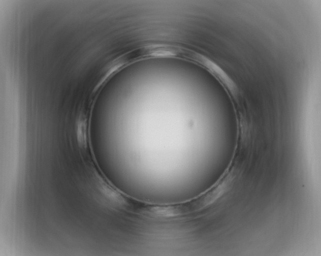 X0000113541194200909250920